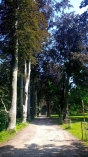 Piataci